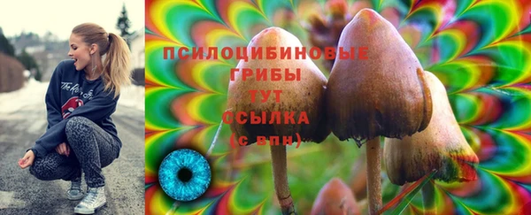 кристаллы Алзамай
