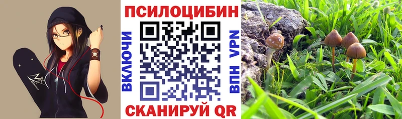 Псилоцибиновые грибы мухоморы  Духовщина 